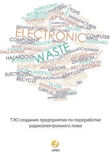 Development of enterprise for processing of radio electronic scrap. Feasibility study