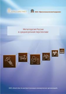 Metallurgy in Russia in midterm prospective